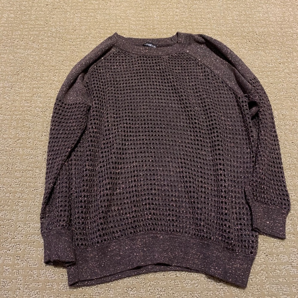 Express Shimmer Sweater